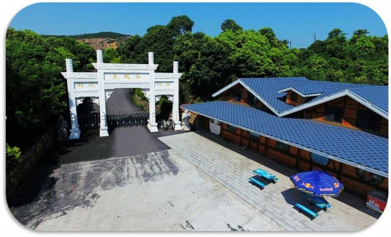 1719631548621661.jpg 1719631548621661.jpg